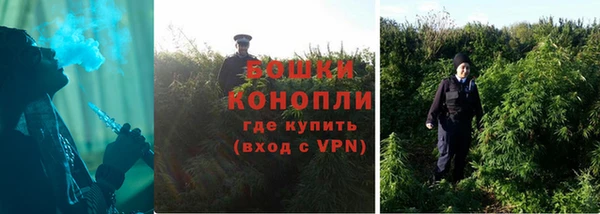 бошки Бронницы